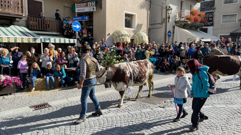 20211002-desarpa-cogne