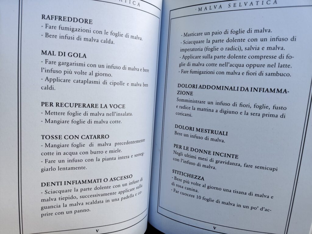 Un libro sugli antichi rimedi in Valle d'Aosta