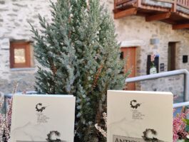 Un libro sugli antichi rimedi in Valle d\'Aosta