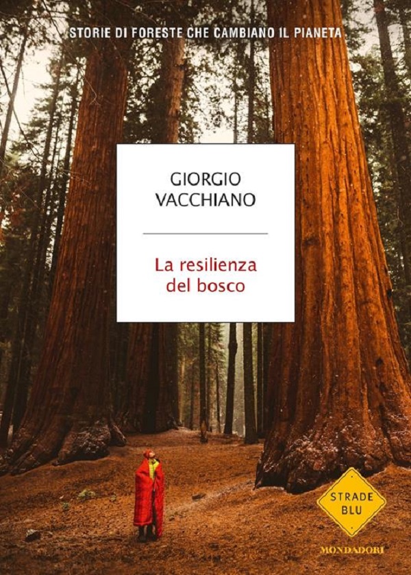 Giorgio Vacchiano: La resilienza del bosco