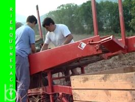 Rien qu’une vache - Agriculteur d\'hier, exploitant agricole d\'aujourd\'hui