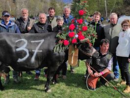 Batailles de Reines 2022: Challand-Saint-Victor