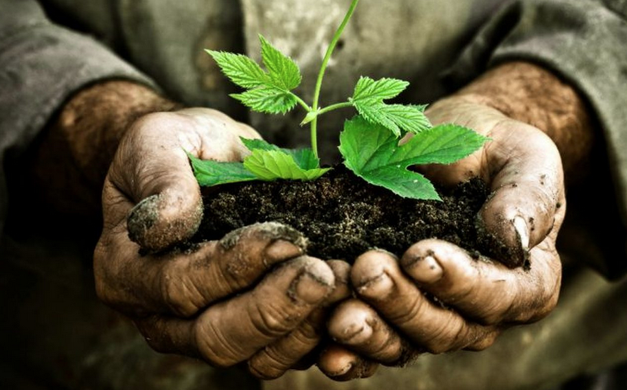La VdA è la prima regione ad aderire alla Carta dei principi sull’uso sostenibile del suolo