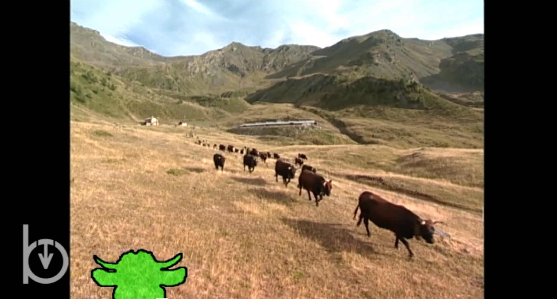 Rien qu’une vache – Pas de vaches mais d’autres élevages plus inusuels