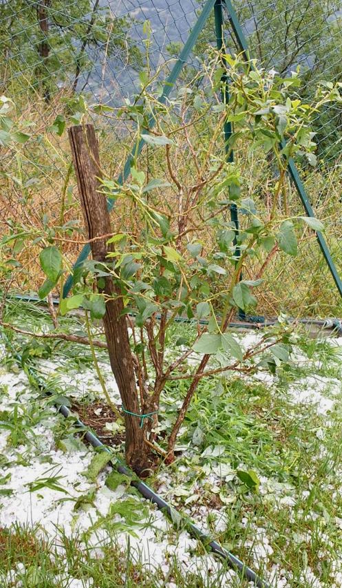 Grandinata in Bassa Valleil 28 giugno 2022