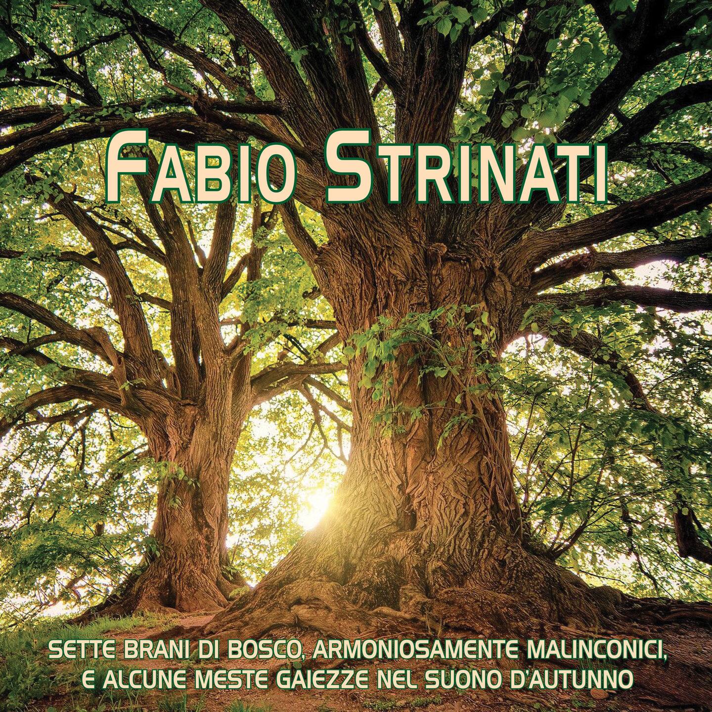 Fabio Strinati e le melodie ispirate dai suoni della montagna