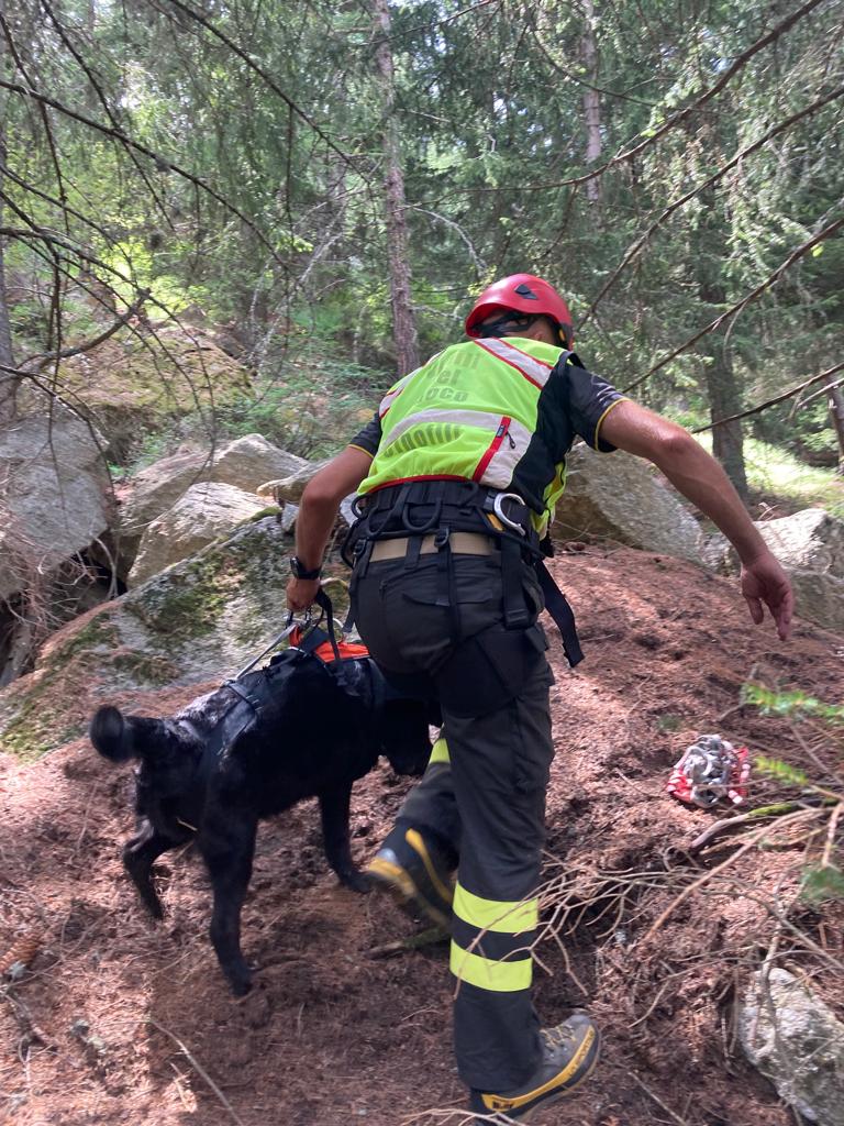 20220714 Soccorso Cane