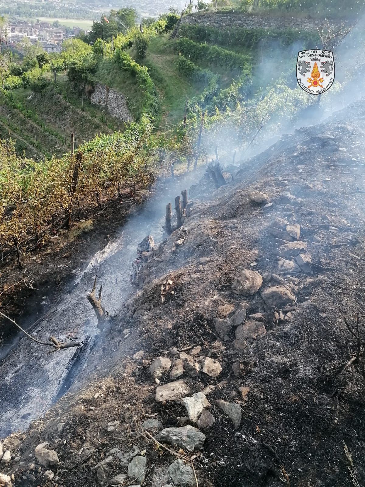 Aosta: incendio di sterpaglie in collina