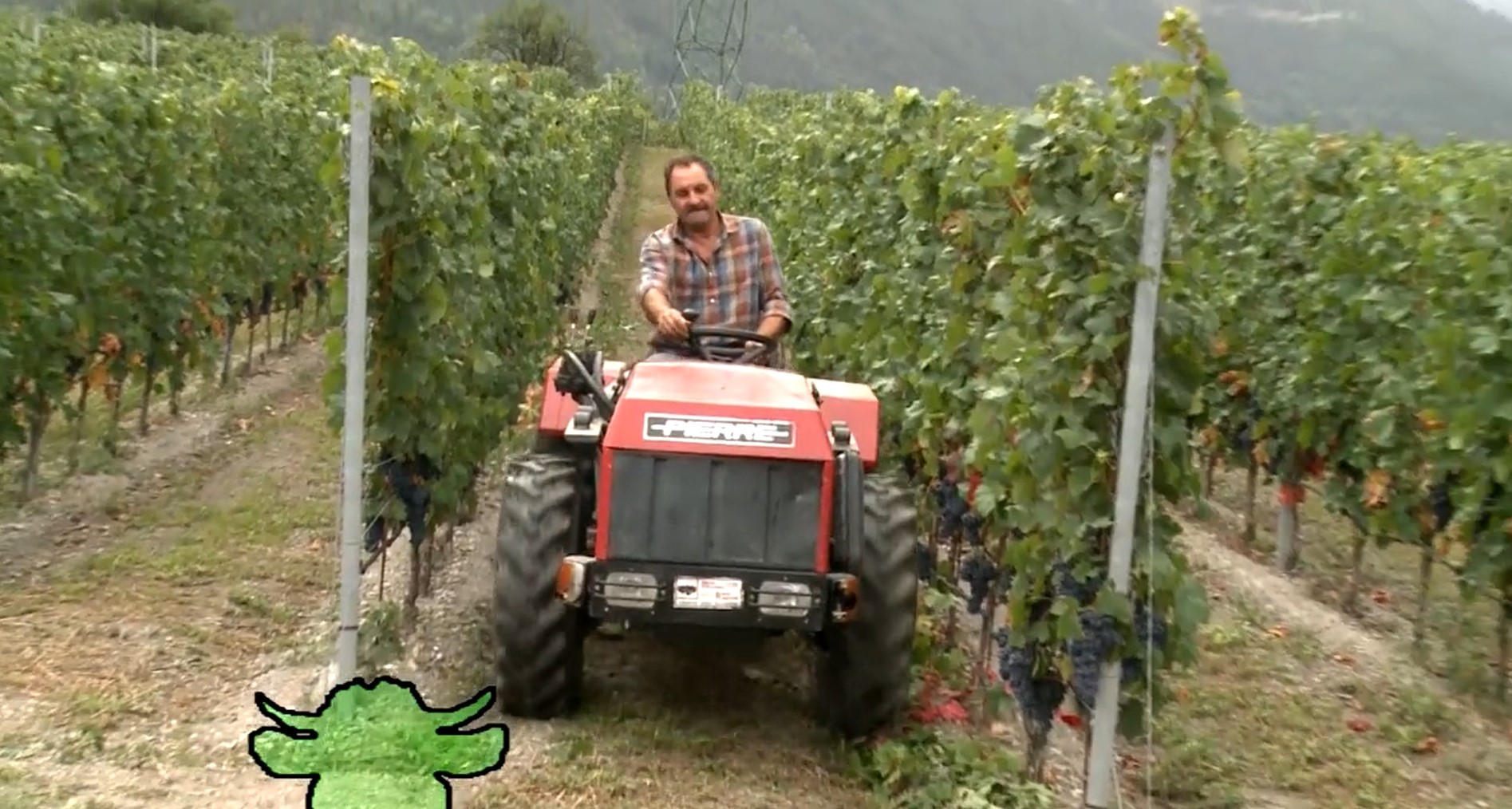 Rien qu’une vache – En agriculture, les bras sont nécessaires mais les engins aussi