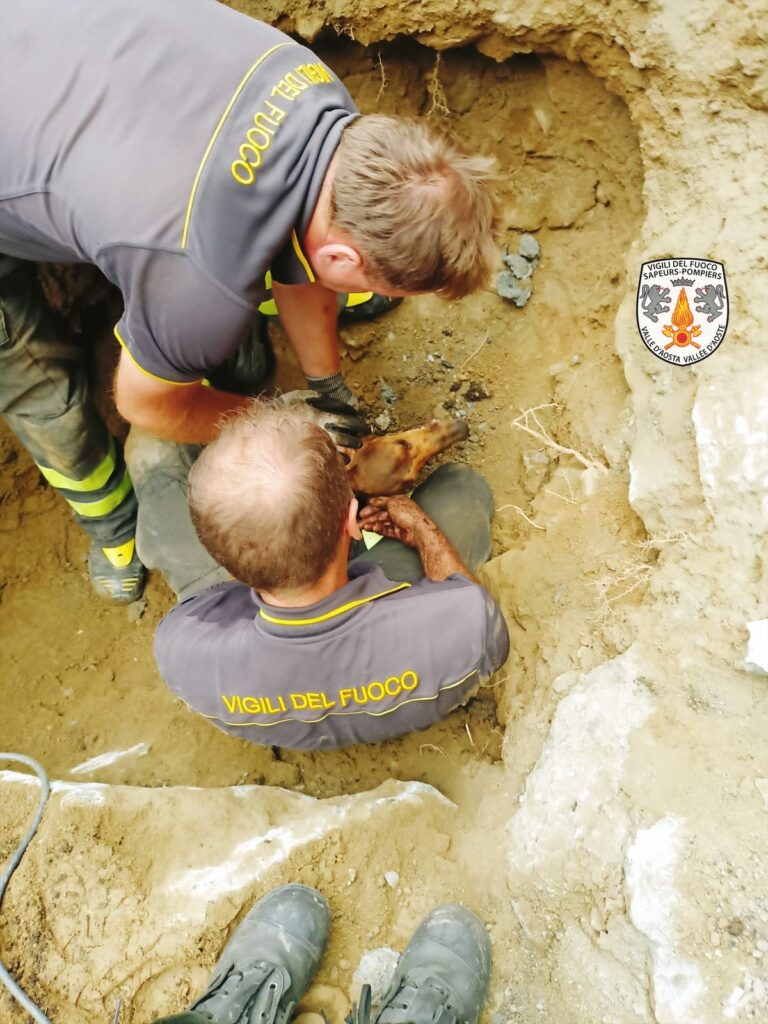 Vigili del Fuoco in soccorso di un cane incastrato in un tubo il 4 agosto 2022
