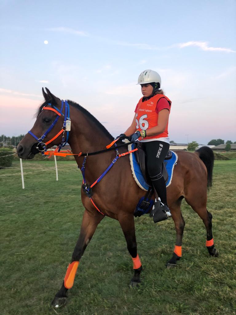 Endurance equestre: le sorelle Pisano in gara in Slovacchia