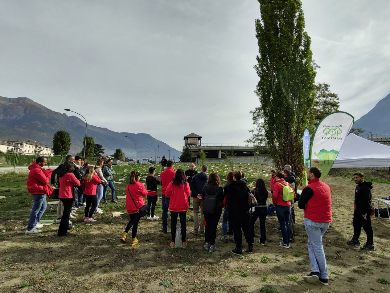 intervento di forestazione in via Paravera
