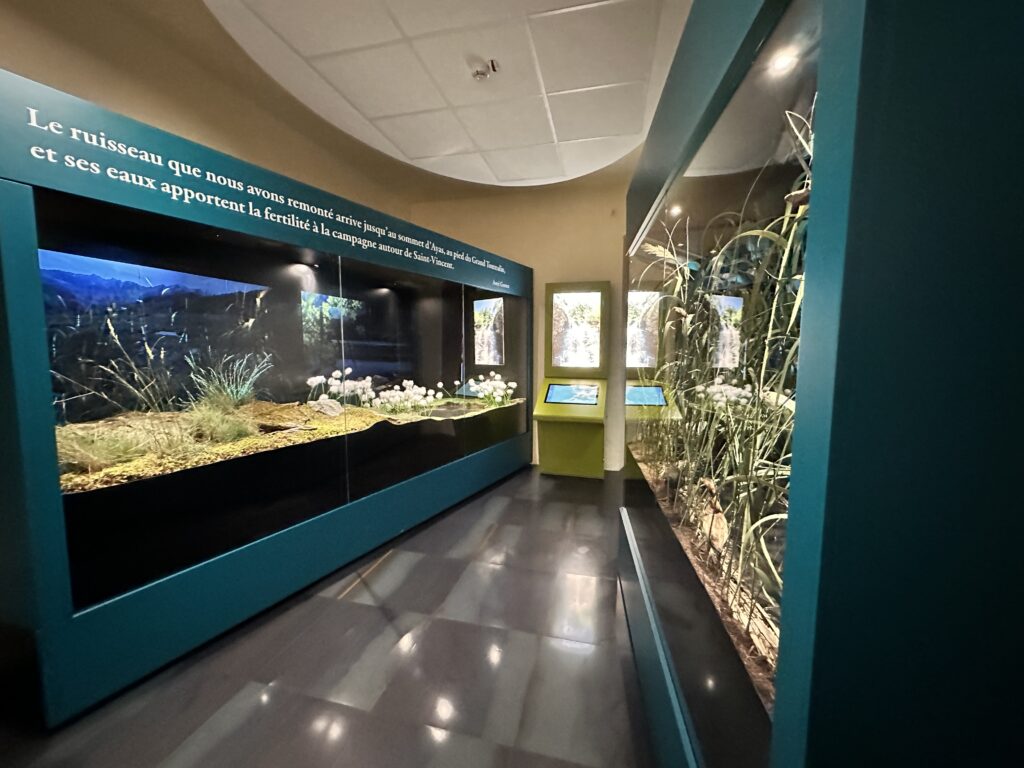sant-pierre-museo-scienze-naturali