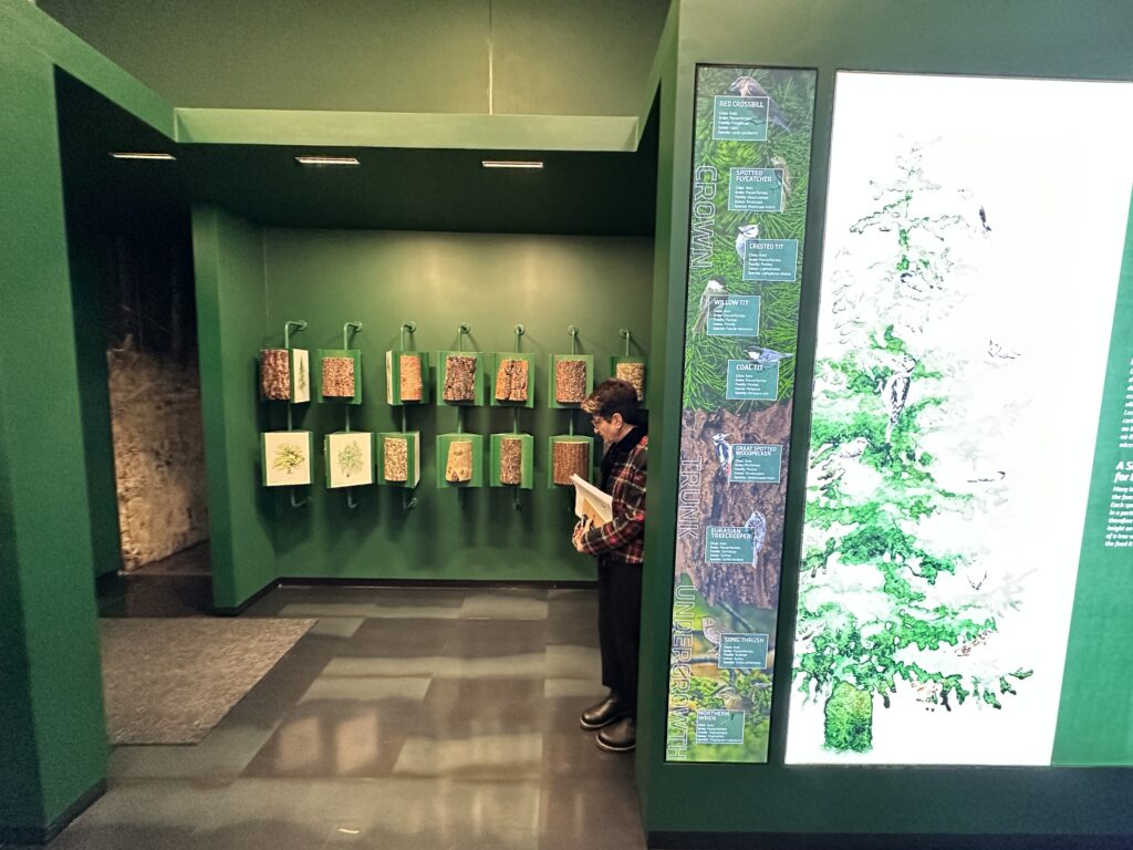 sant-pierre-museo-scienze-naturali