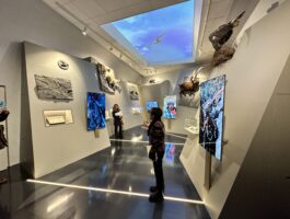 Giornata internazionale dei Musei 2026