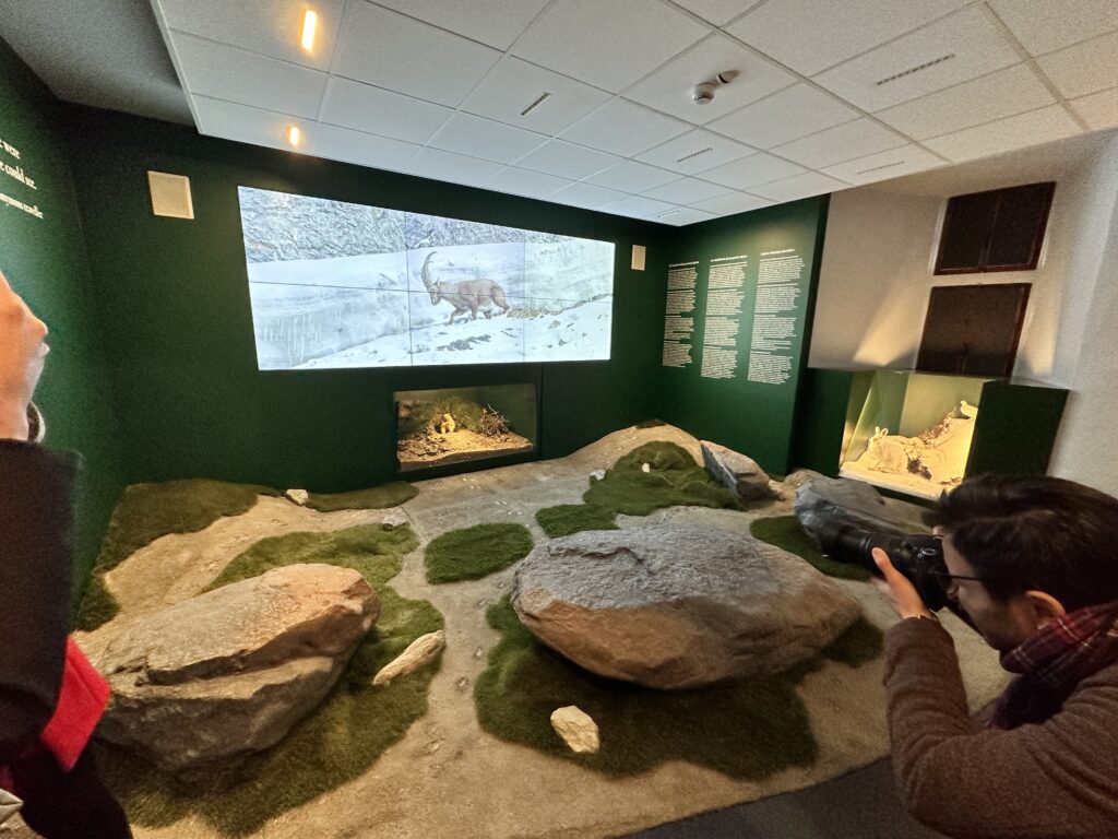 sant-pierre-museo-scienze-naturali