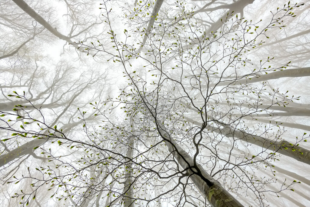 Fotografare il parco concorso fotografico Elisa Confortini