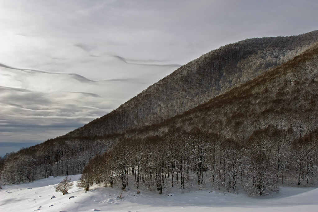 Paesaggio Pnalm Marco Pantanella