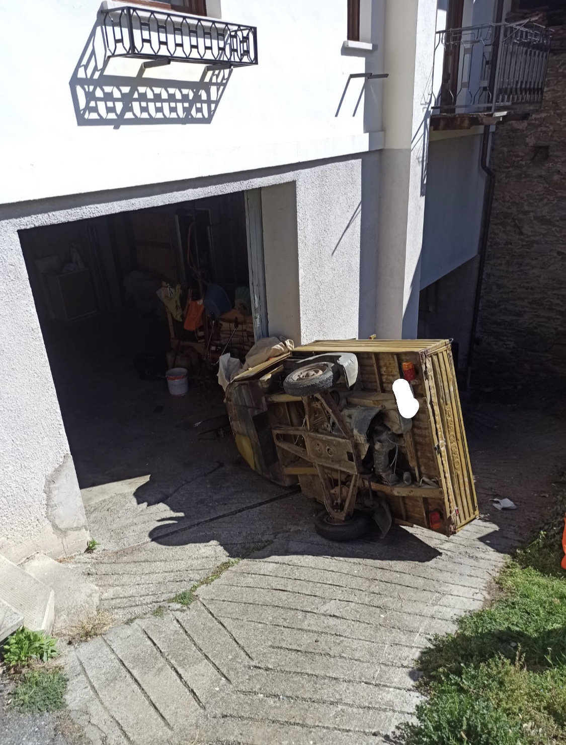 Ape contro un muro ad Introd