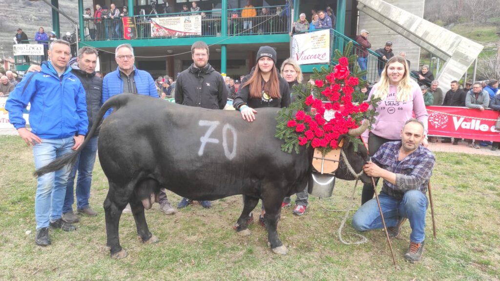 Bataille de reines 2023 a Montjovet