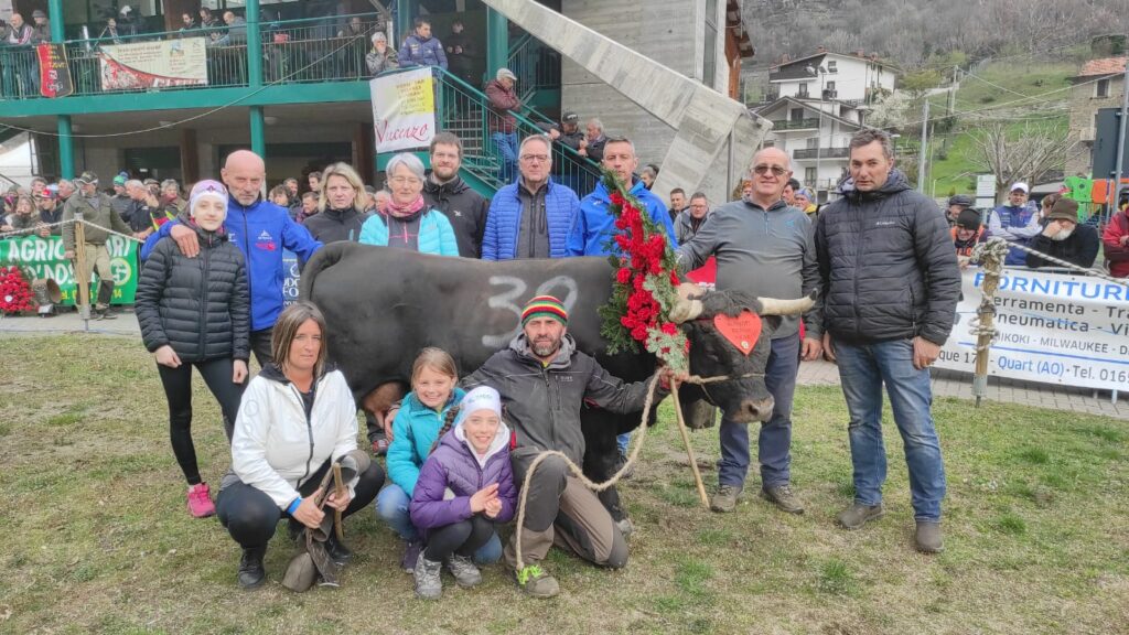 Bataille de reines 2023 a Montjovet