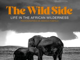 A Aoste, l\'exposition The Wild Side. Life in the African Wilderness 