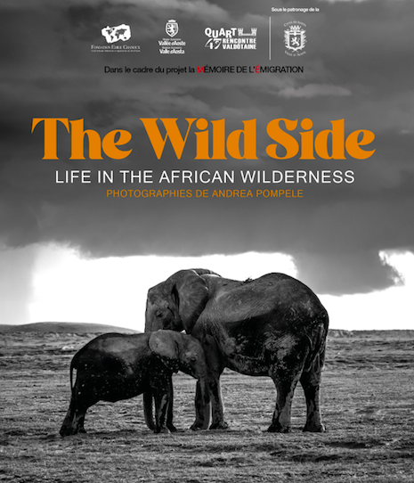 A Aoste, l'exposition The Wild Side. Life in the African Wilderness 