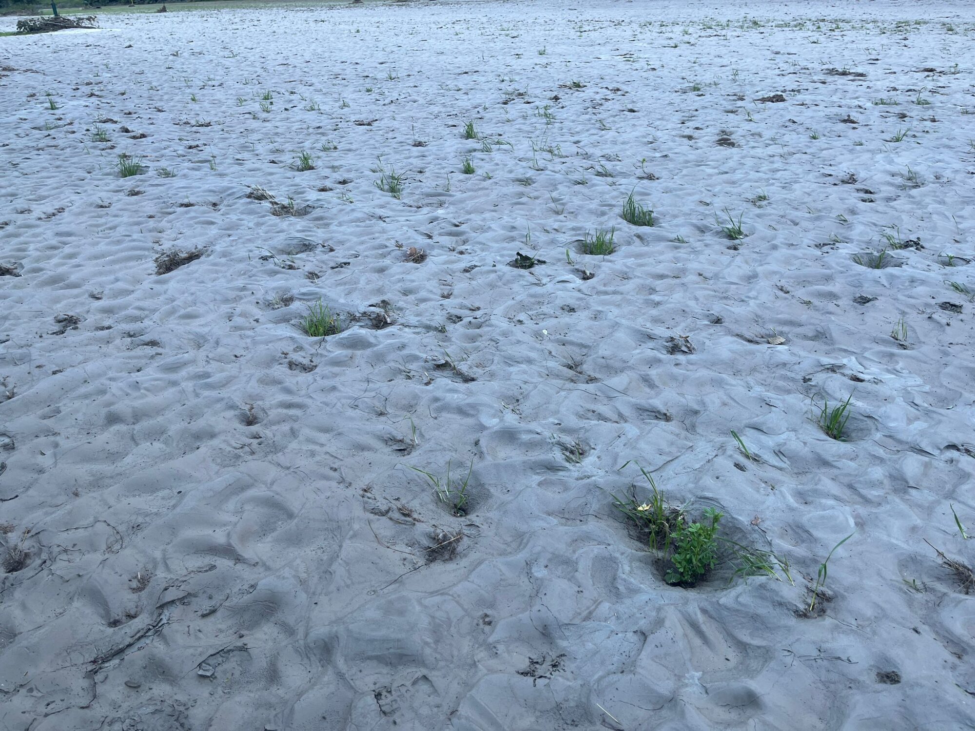Aiuti per l’agricoltura post inondazione