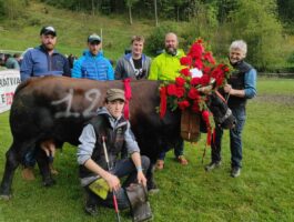 Bataille de reines 2023 a Valpelline