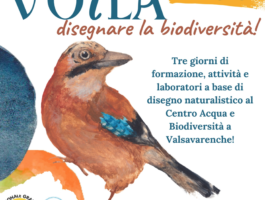 A Valsavarenche il festival di disegno naturalistico,Voilà: disegnare la biodiversità