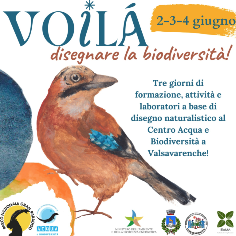 A Valsavarenche il festival di disegno naturalistico,Voilà: disegnare la biodiversità