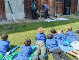 A Torgnon, un progetto sulla lana con Musée Petit Monde e scuola elementare