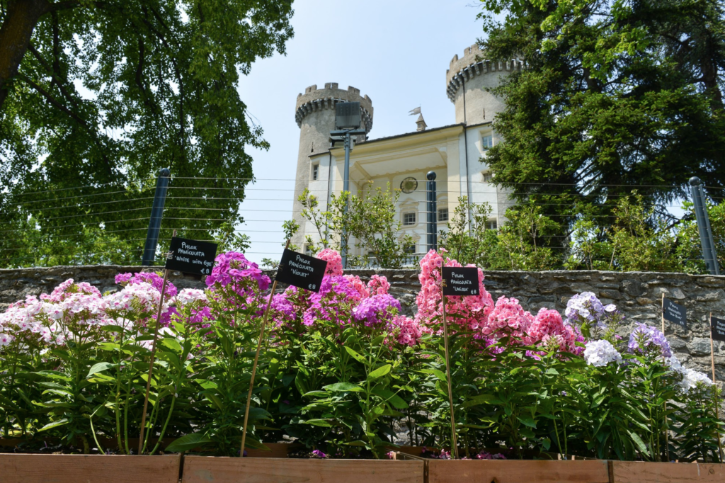 2023-valle-daosta-aymavilles-marche-fleurs