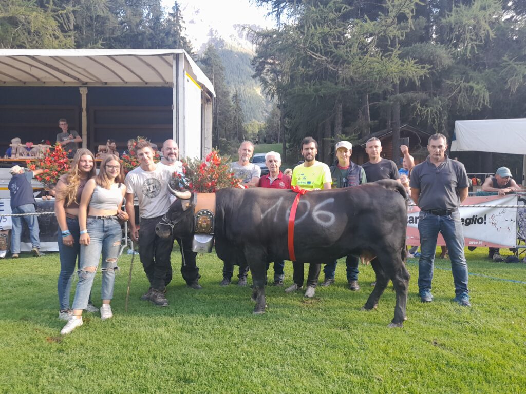Brooklyn di La Ferme du Grand Paradis