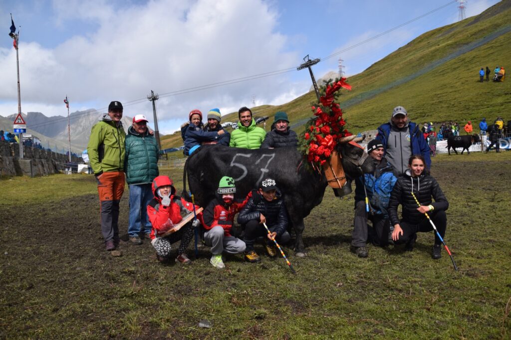 Batailles de Reines 2023 La Thuile
