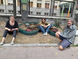 Aiuole edibili al Quartiere Cogne