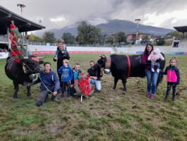 7° Confronto interregionale e il 4° Combat des deuxièmes veaux