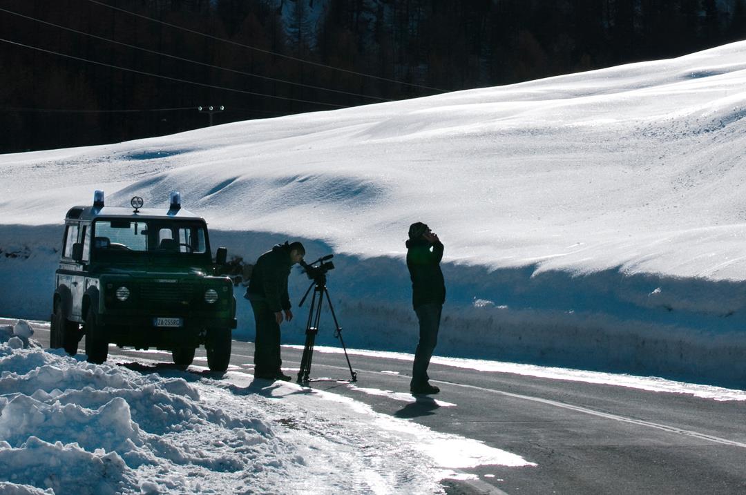 Parco Gran Paradiso: fermato un bracconiere