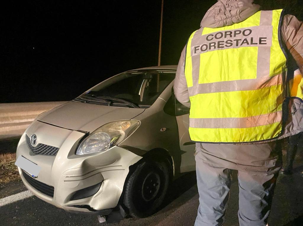 Verrayes: incidente notturno con un cinghiale