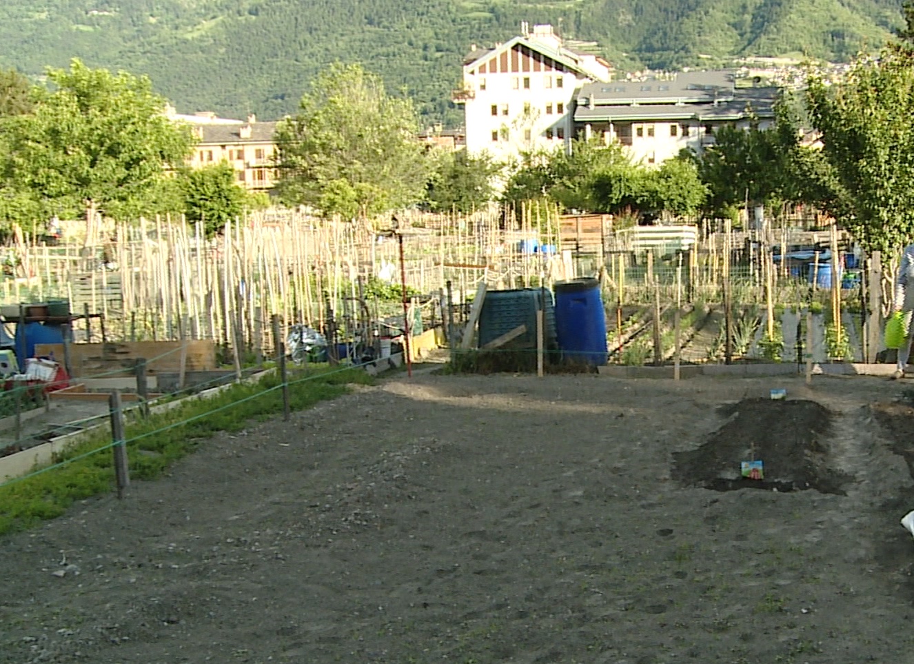 Assegnazione orti ad Aosta 2025