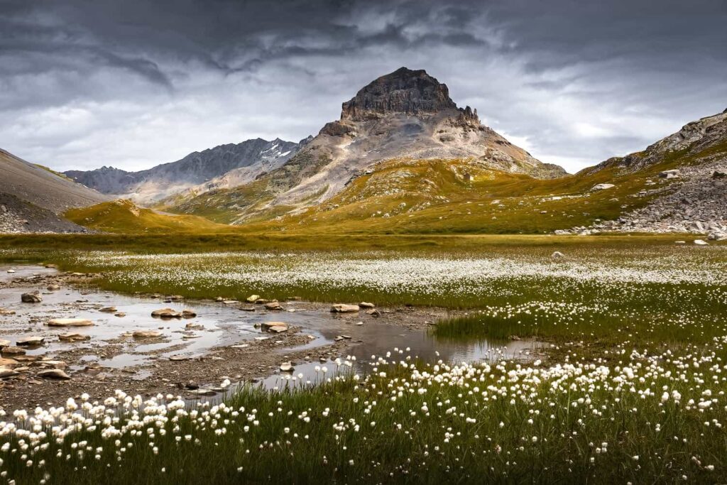 Parc national de La Vanoise Un lac de Linaigrettes