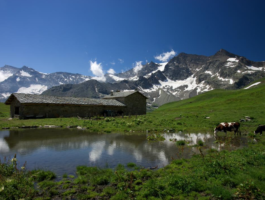 Parco nazionale Gran Paradiso : vasche in comodato gratuito per abbeverare il bestiame