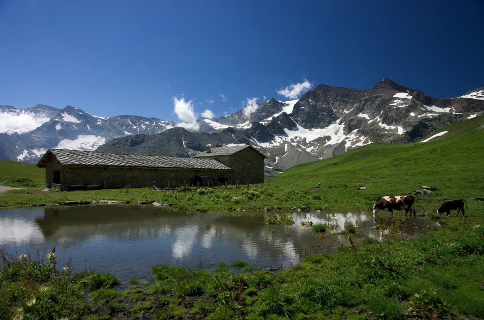 Parco nazionale Gran Paradiso : vasche in comodato gratuito per abbeverare il bestiame