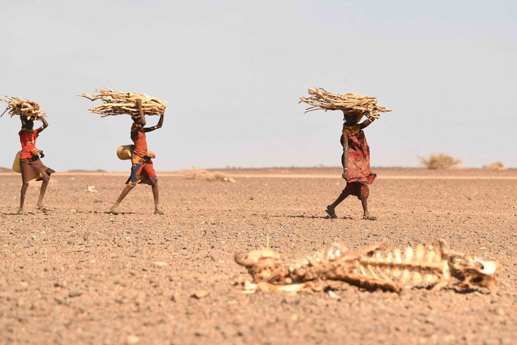 Kenya Drought Environment