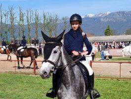 Equitazione: salto a ostacoli ed endurance il 13 e 14 aprile 2024