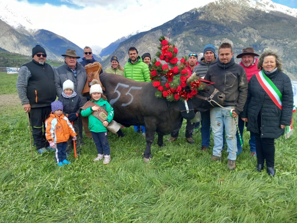 In 1° categoria, Briganda dell' Azienda agricola Verney di Gressan si aggiudica il titolo di Reina