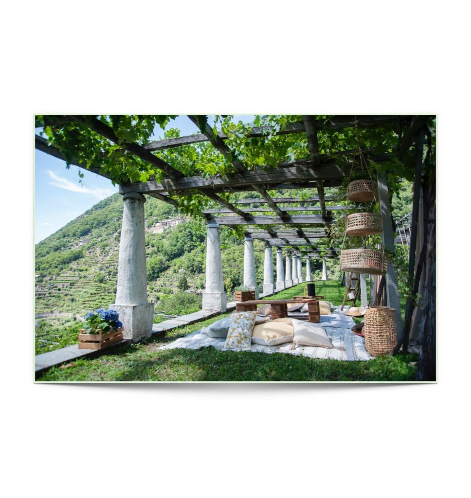 Cantine aperte edizione 2024