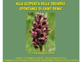 Alla scoperta delle orchidee di Saint-Denis