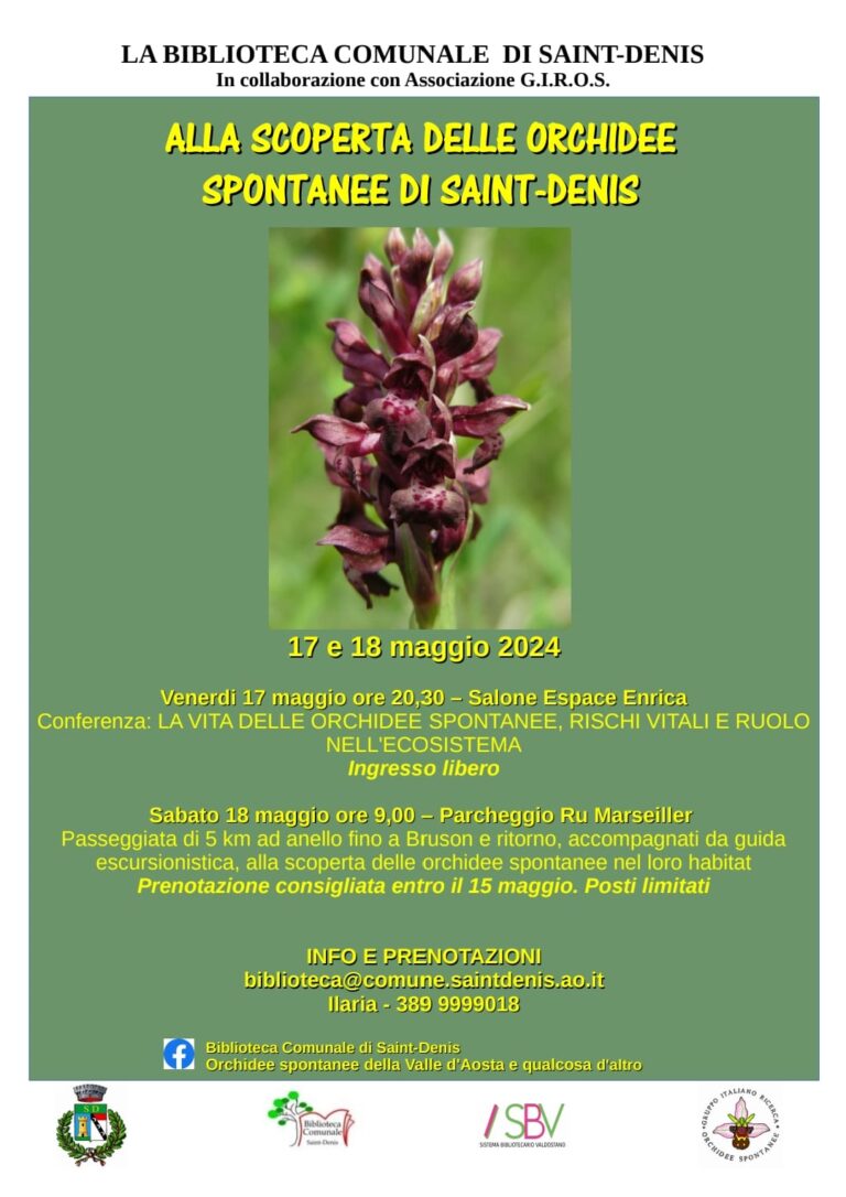 Alla scoperta delle orchidee di Saint-Denis