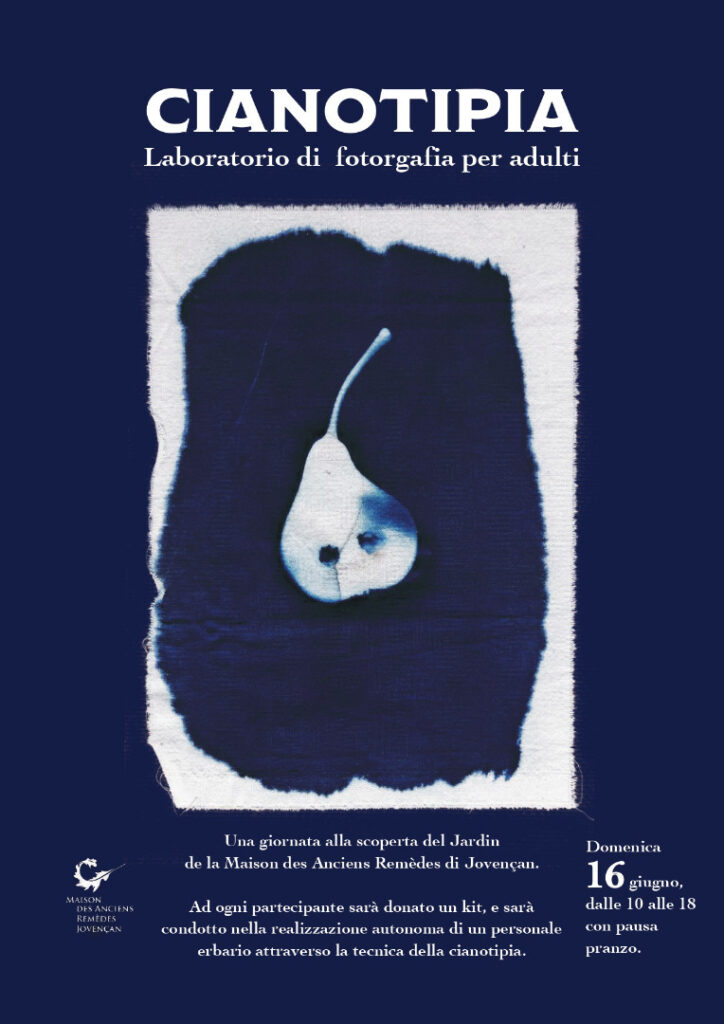 Laboratorio Cianotipia Adulti